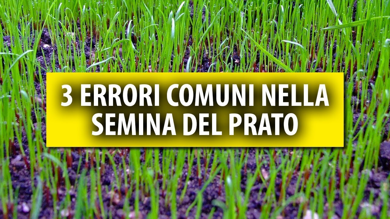 3 Errori Comuni che si Fanno nella Semina del Prato