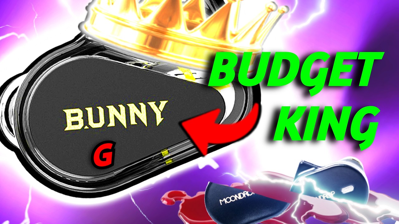 The CHU 3 Killer that uses a Modded $200 IEM Driver BUT Costs $30 (BUNNY-G REVIEW)