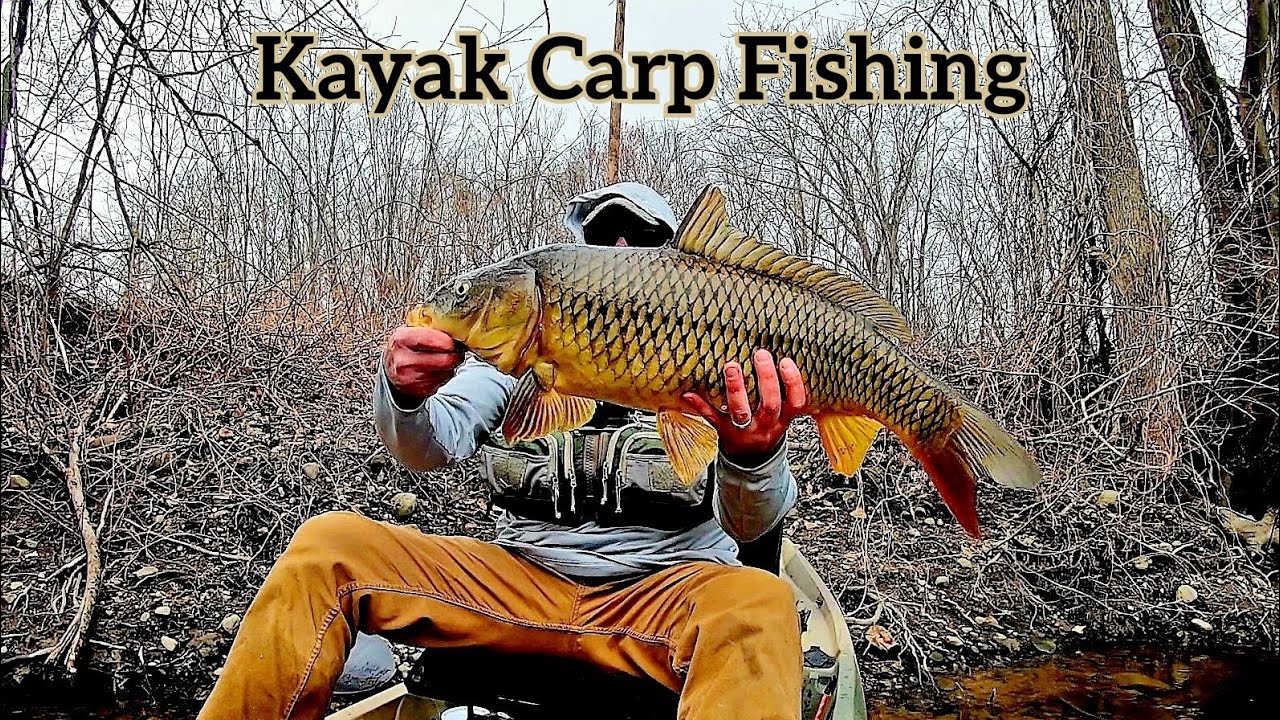 Kayak Fishing for River Carp and Smallmouth Bass