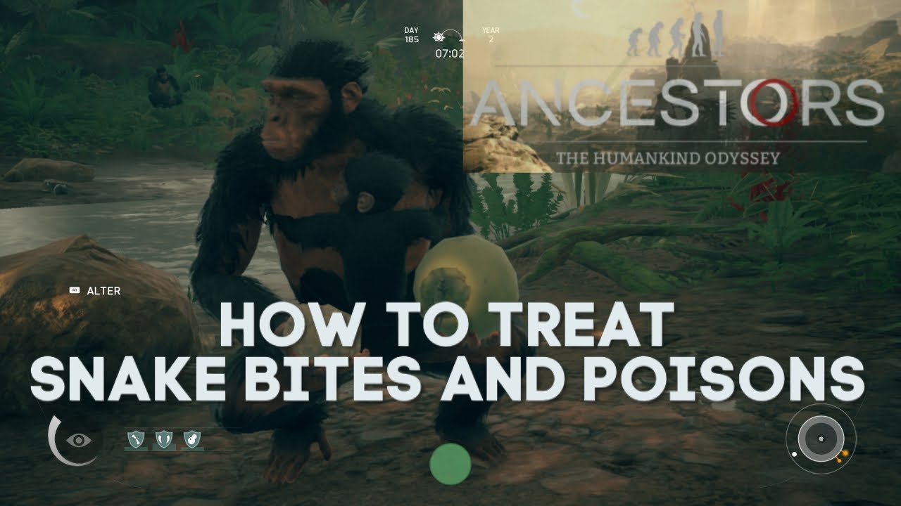 Ancestors: The Humankind Odyssey - How to Treat Snake Bites and Poisons