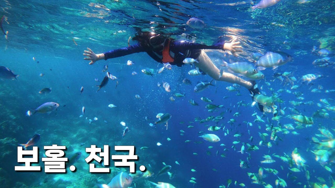 🇵🇭 보홀 여행 수영 못해도 돼 Bohol