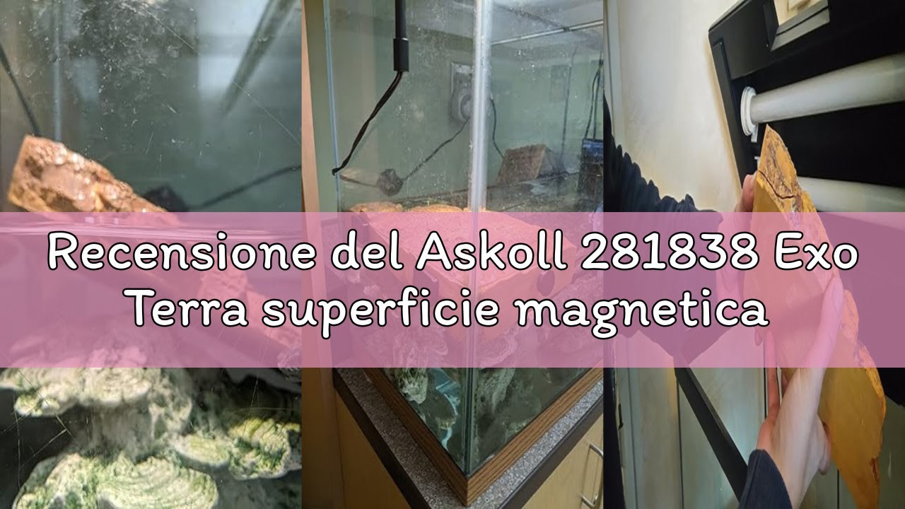 Recensione del Askoll 281838 Exo Terra superficie magnetica galleggiante per tartarughe, media, M