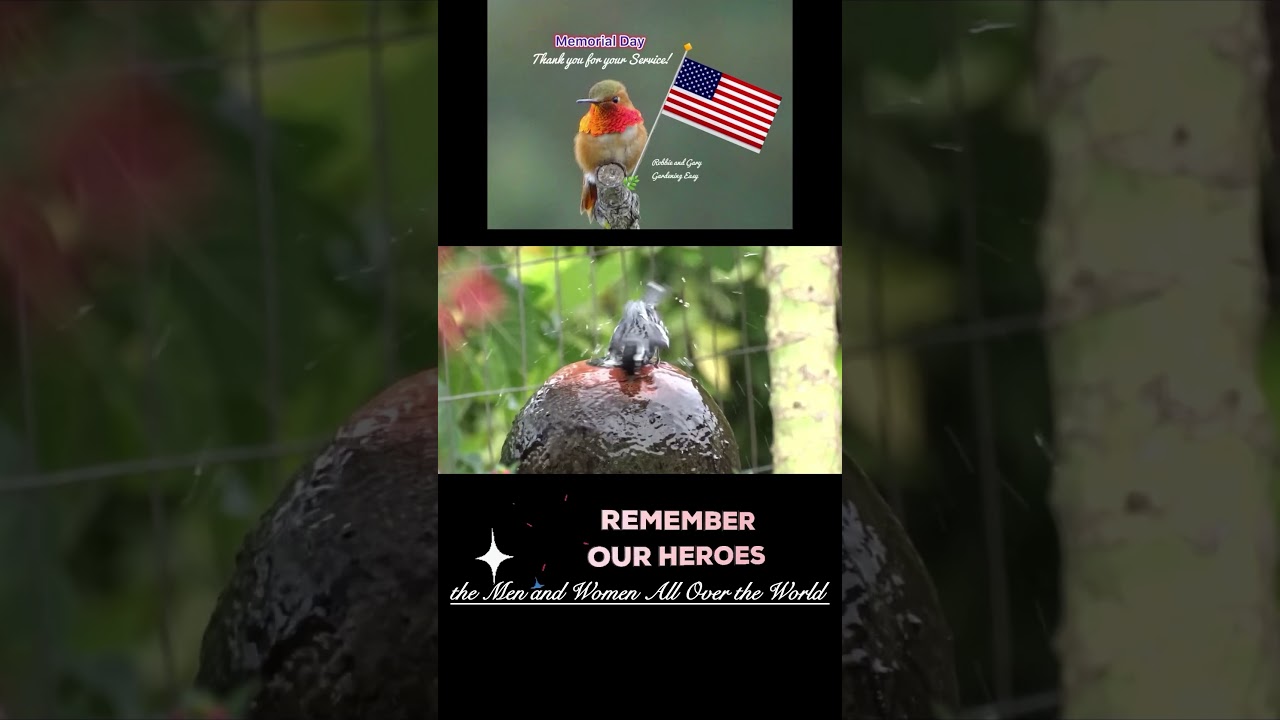 Have a Safe Good Memorial Day Weekend ❤️ We Will Always Remember and Thanks All for Their Service ❤️