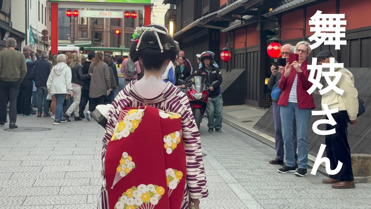 祗園花見小路を歩く芸舞妓さん👘Kyoto japan🇯🇵