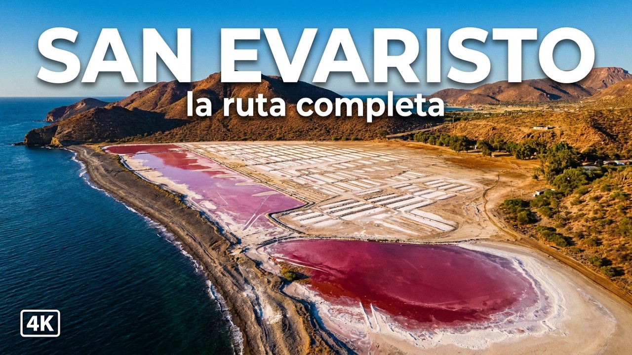 El Viaje Más Auténtico de Baja California Sur | Naturaleza Pura en 4K