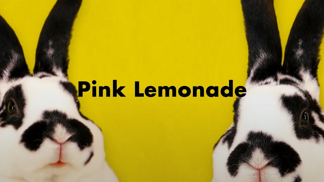 AmPm / Pink Lemonade feat.The Attire (Lyric Video)