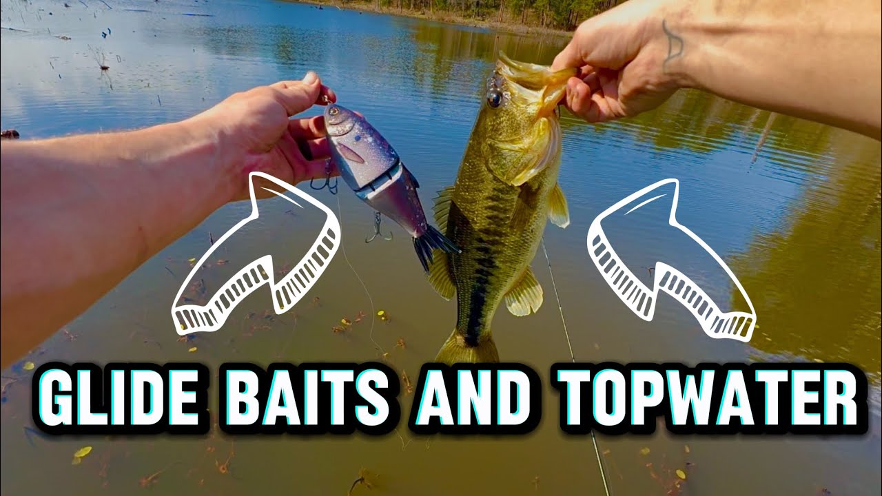 Glide baits and top water MAYHEM!!‼️🎣                         #bassfishing #outdoors #lakelife 