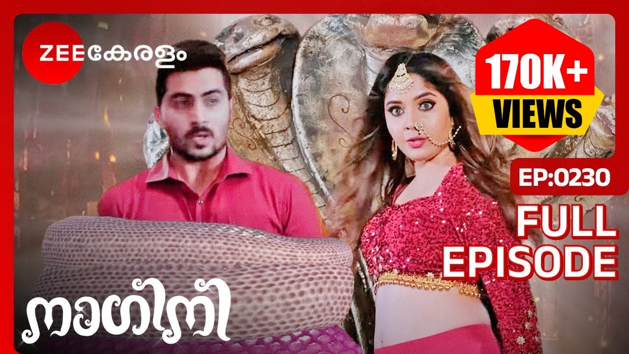 😱🐍OMG...ത്രിവിക്രമൻ & മയങ്കാനി! - Nagini | Full Ep 230 | Shivani, Adishesha | @zeekeralam