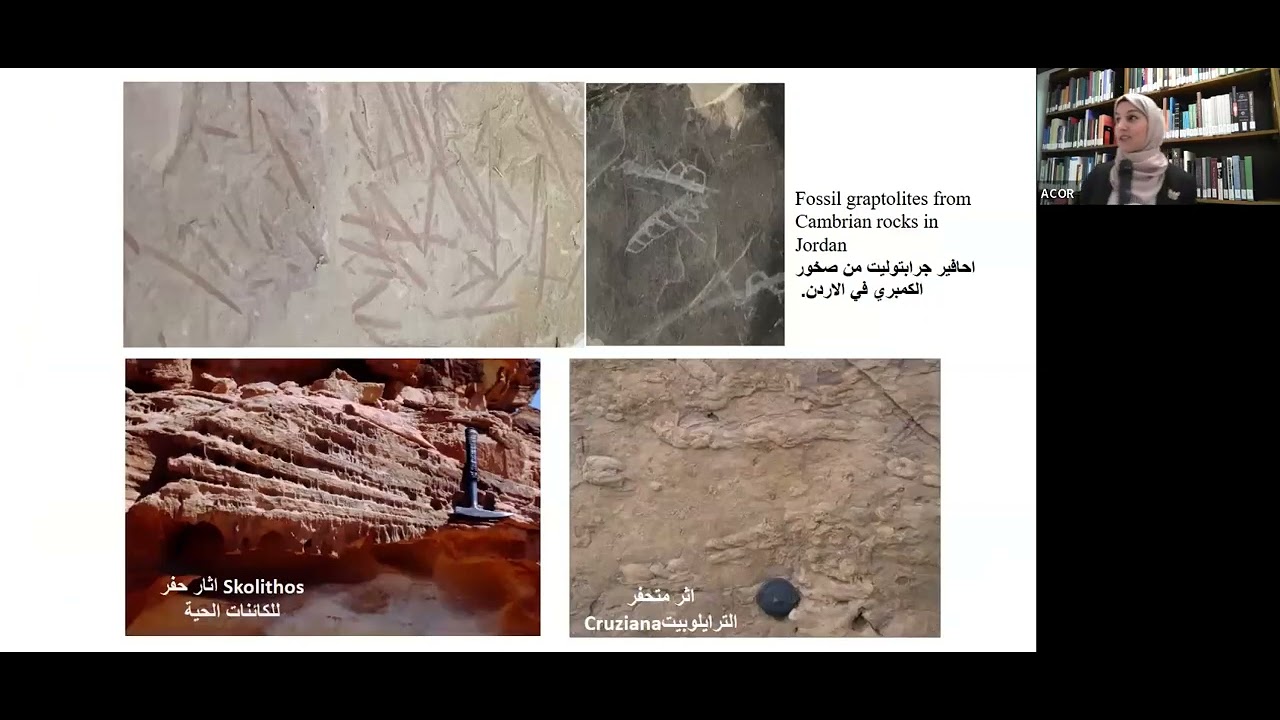 Geology and Fossils from Jordan