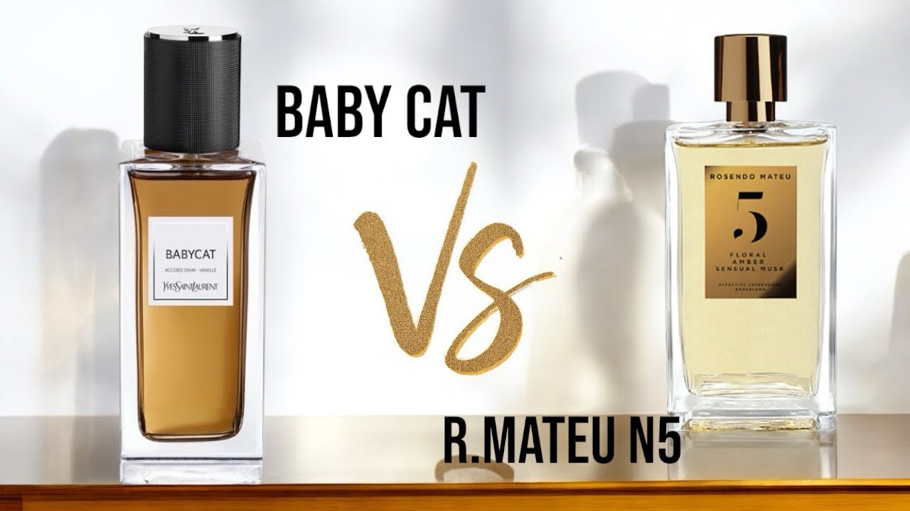 مقارنة بين Babycat Yves Saint Laurent vs Rosendo Mateu Nº 5
