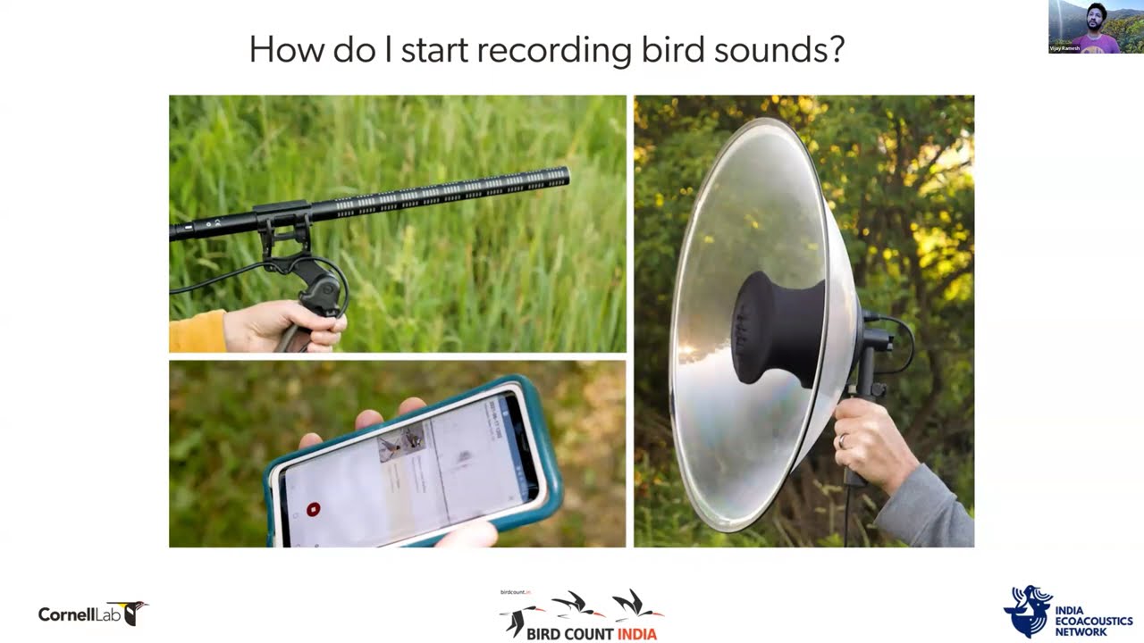 Recording Bird Sounds Part 1 | GBBC 2026