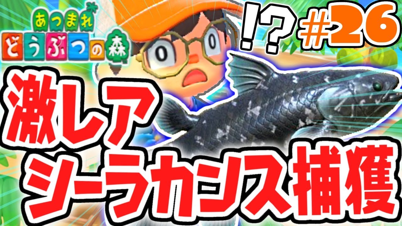 幻の魚シーラカンスを釣りたい!!待ちに待った雨の日!!気ままに実況Part26【あつまれどうぶつの森】