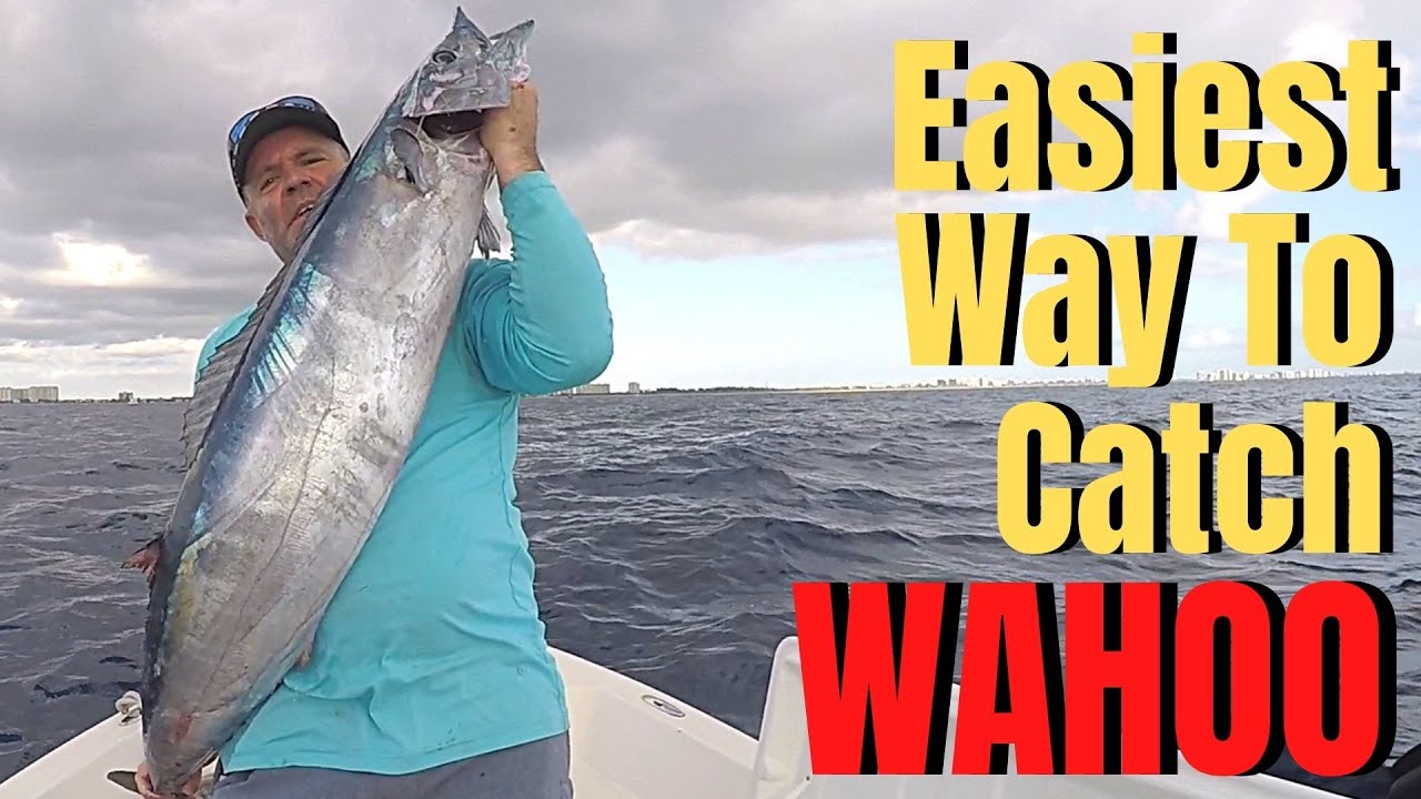 How To Catch WAHOO The EASIEST Way LURES, BAIT, GEAR, TROLLING BASICS & TACTICS