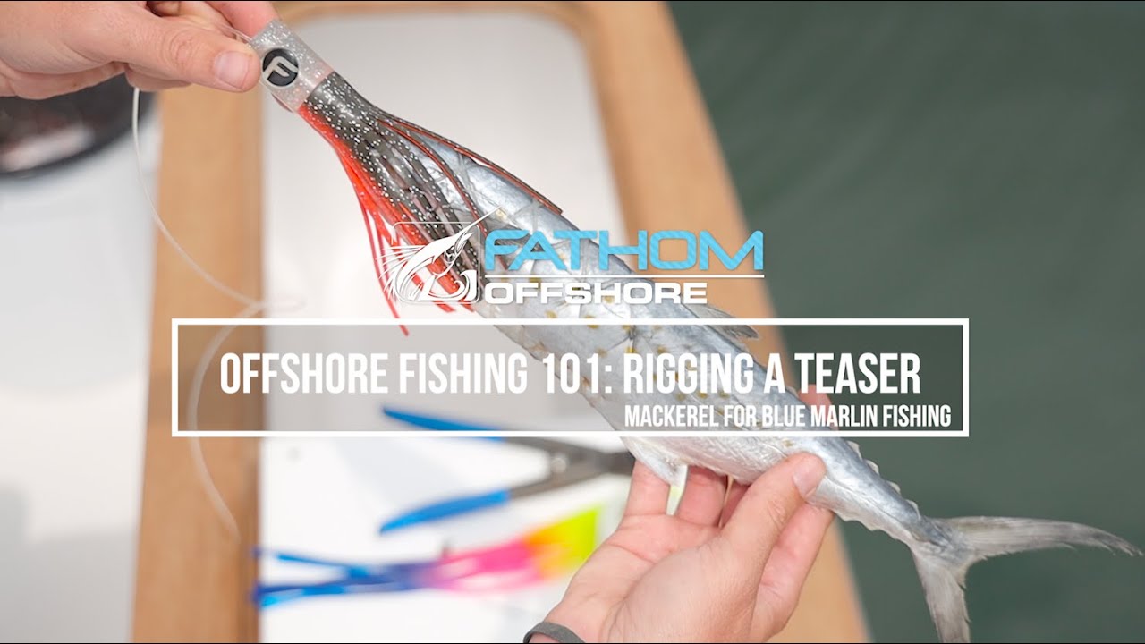 Offshore Fishing 101: Rigging a Teaser Mackerel for Blue Marlin Fishing