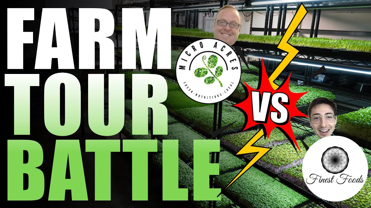 Microgreens FARM TOUR BATTLE!! (Dave MicroAcres vs Donny Greens)