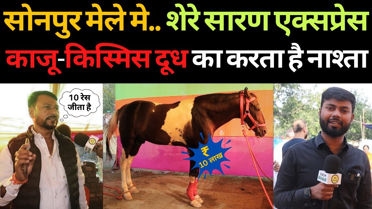 सोनपुर मेले मे.. शेरे सारण एक्सप्रेस काजू-किस्मिस दूध का करता है नाश्ता | Sonpur mela 2025