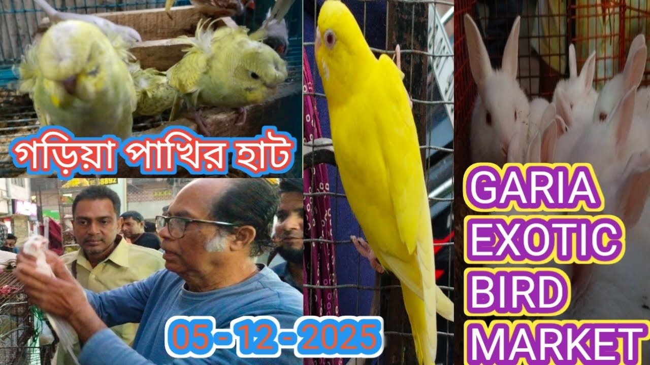 গড়িয়া পাখির হাট থেকে পাখি কিনলাম। Garia Bird Market Pric. গড়িয়া পাখির হাট l Garia Bird Market.