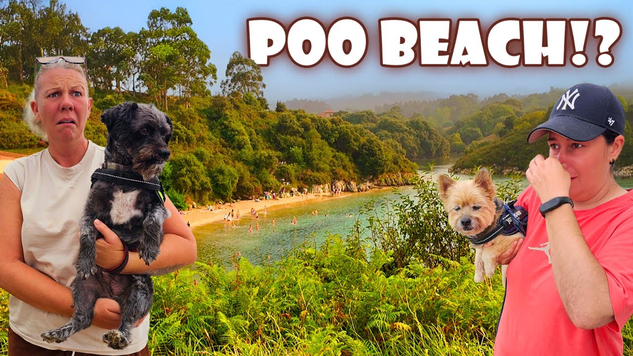 Vanlife - POO PARADISE in Asturias!?