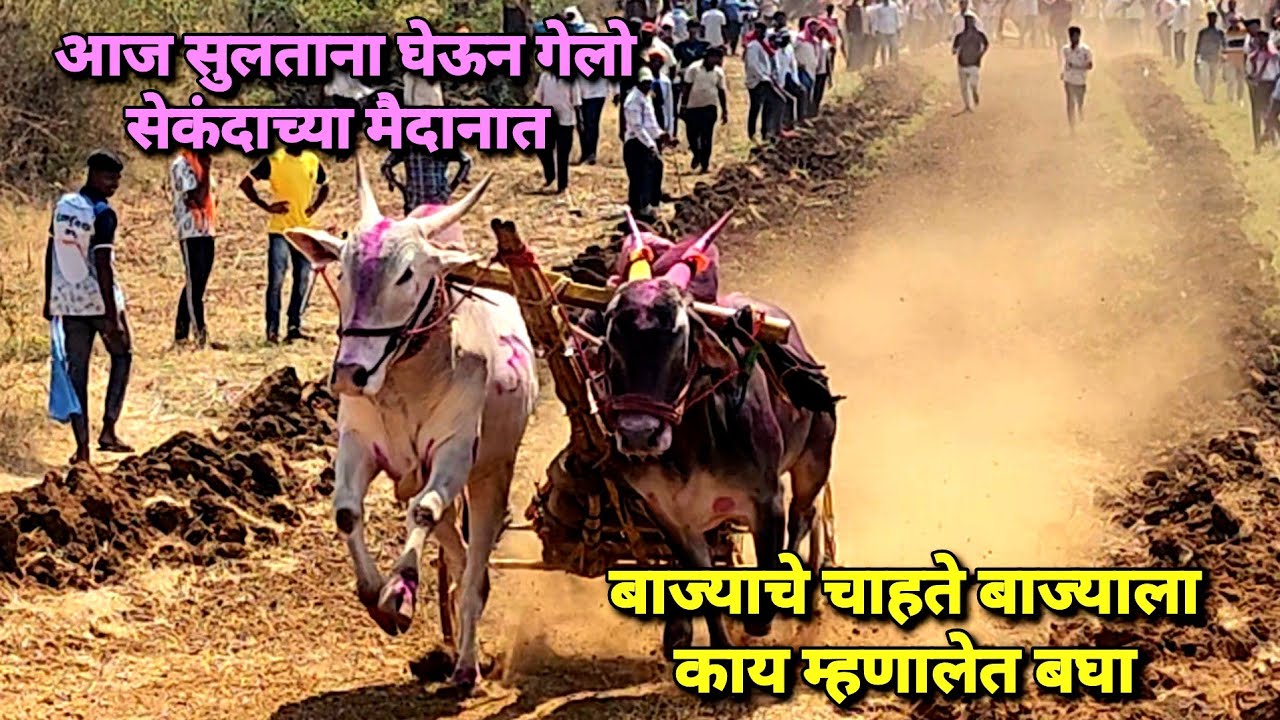 सुलताना गेला होता सेकंदाच्या मैदानात🥰बाज्याचे चाहते बाज्याला काय म्हणालेत बघा | Bailgada Sharyat |