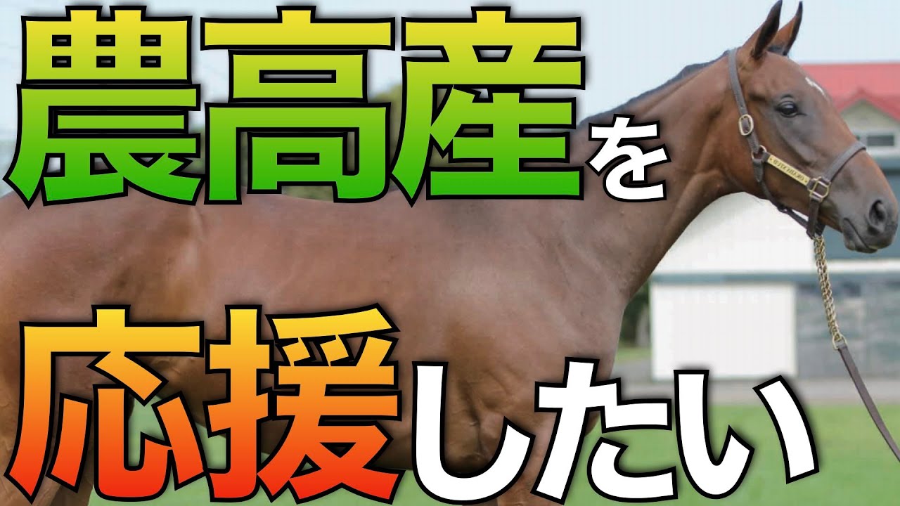 【頑張れ】静内農業高校の生産馬テイエムケントオーがついにデビュー！夢を叶えるか。【一口馬主】