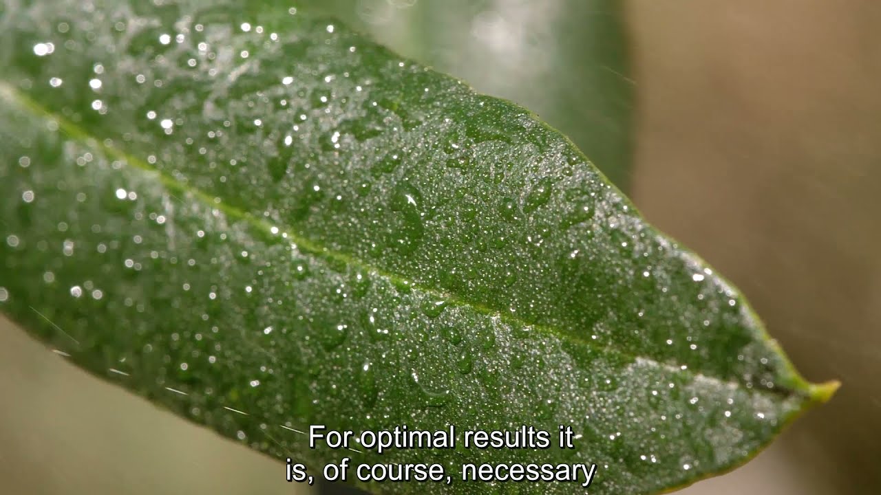 Case study from Greece: AGROHALC Copper Ionizer (Εnglish Subtitles)