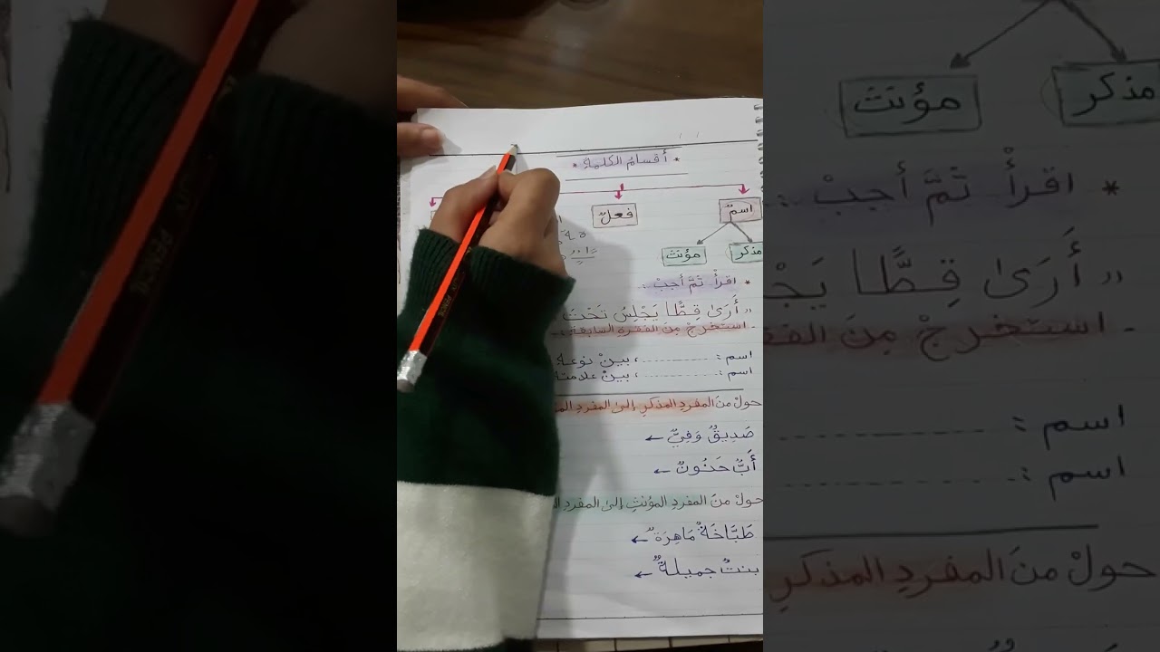 أقسامُ الكلمةِ ( الاسم وعلاماته،  المذكر والمؤنث) 