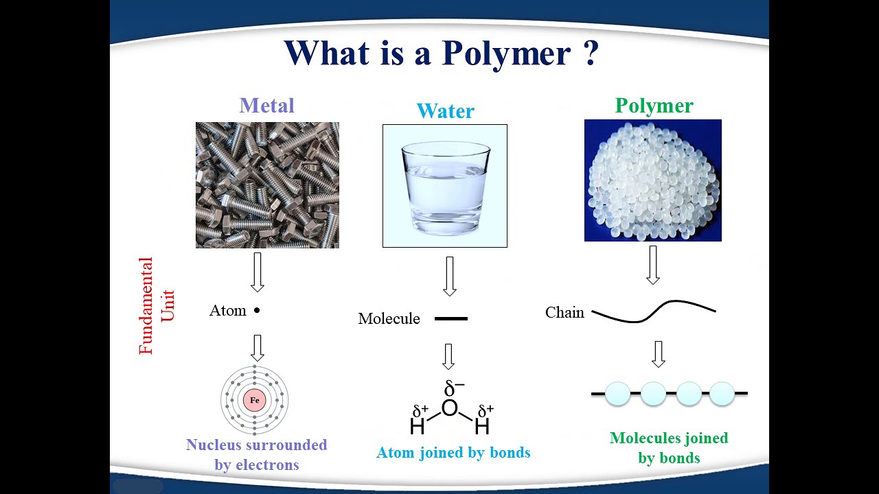 Introduction to polymer