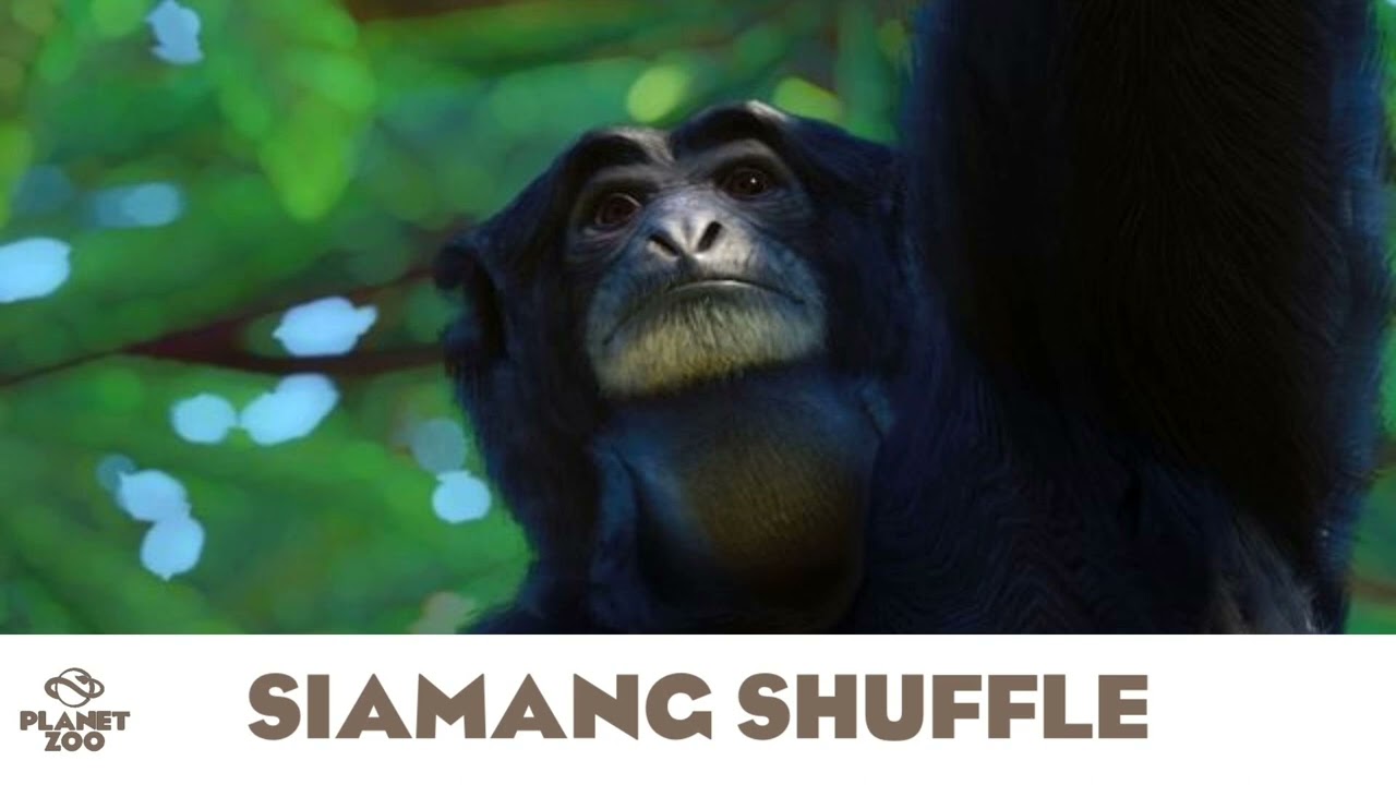 Siamang Shuffle - Planet Zoo Music/Conservation Pack