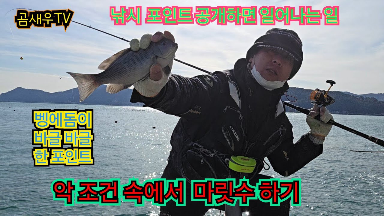 3주 연속 대박 쿨러 조황 !!!  악 조건 속에서도 마릿수 가능 한 곳. #곰새우TV #벵에돔 #빵가루낚시 #벵에돔낚시 #곰새우 #갯바위낚시 #지세포 #강성낚시 #카멜레온찌 