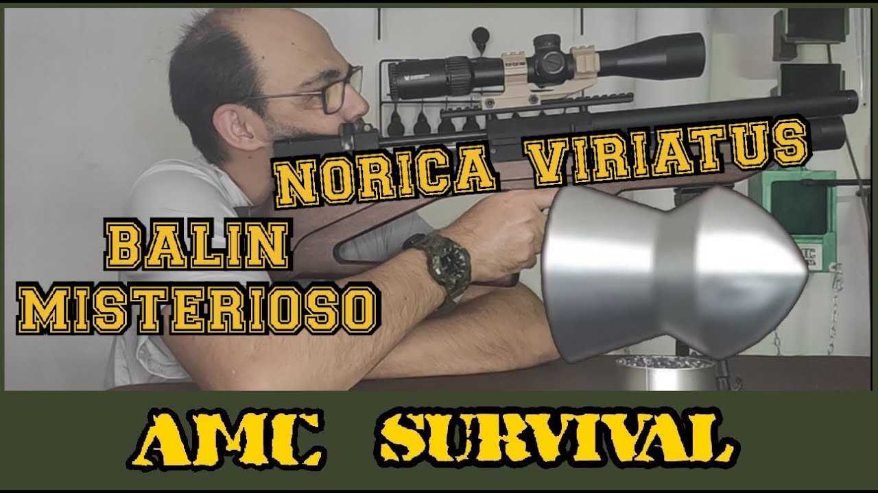 Norica Viriatus, Balin Misterioso (Se puede mejorar en precisión)