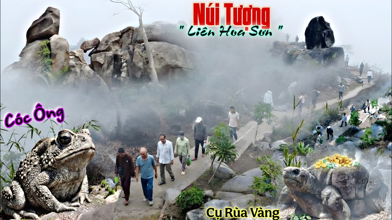Núi Tượng Cụ Rùa Vàng Xuất Hiện Nơi Rừng Sâu Hoang Vắng Đã Lộ Diện Cóc Ông Ngự Hàng Trăm Năm