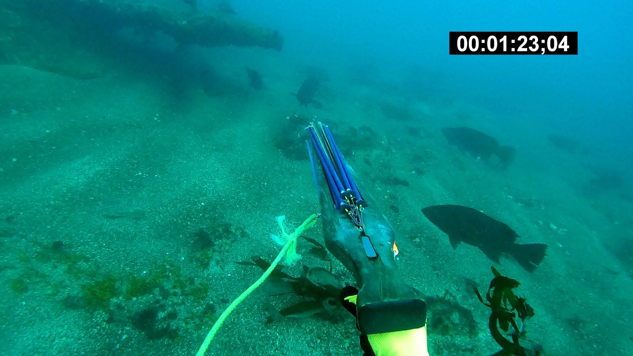 pescando a menos 23 metros con Isrrael Peralta en Yucatan Mexico