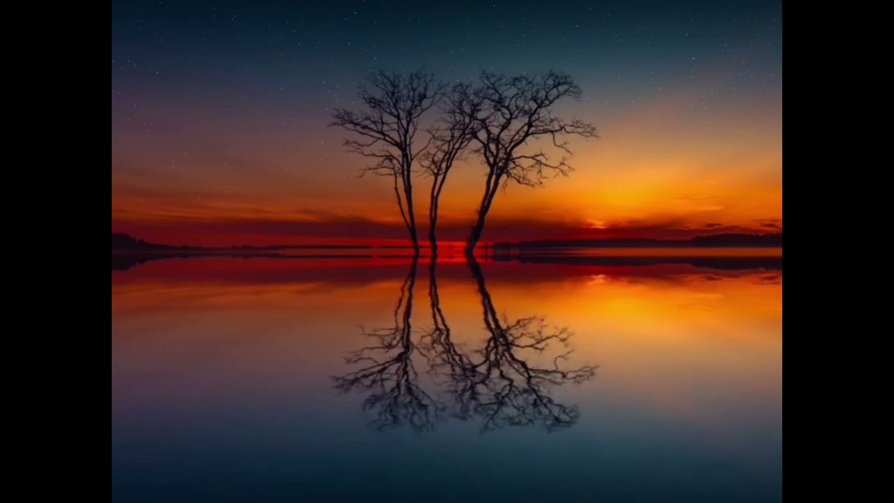 أَرَجُ دَارِيْــن فـي تَعَـامُـلِ الأَمِـيْــن مَع المُخْطِئيــن (الخاتمة)