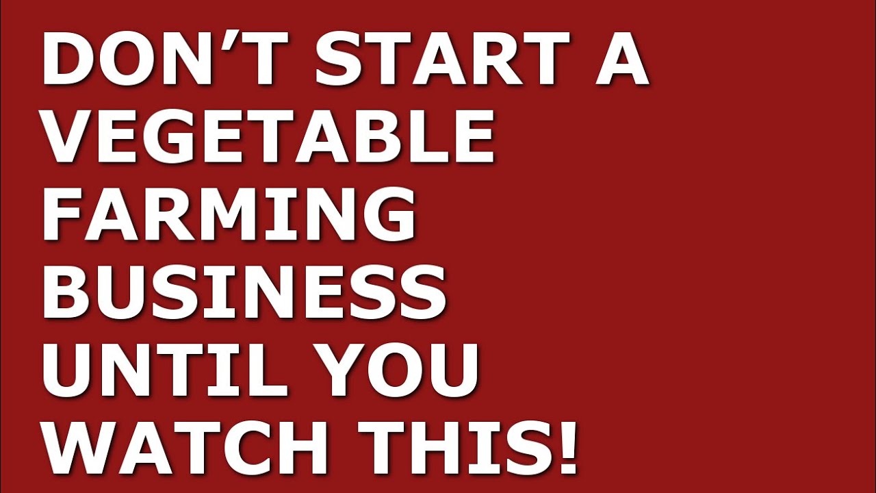 How to Start a Vegetable Farm Business | Free Vegetable Farm Business Plan Template Included