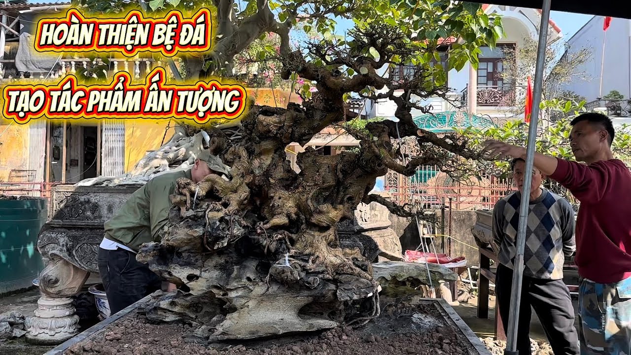 Phần cuối: Hoàn thiện bệ Đá - Tạo ra Tác Phẩm Ấn Tượng #bonsai#bonsaiart88 #caycanh #cây #bonsaitree