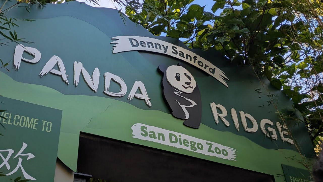San Diego Zoo: Panda Ridge