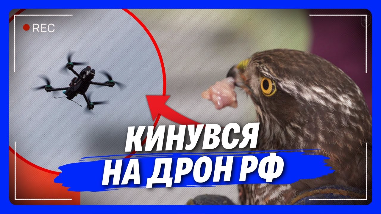 ЦЕ ЩОСЬ НЕЙМОВІРНЕ! Яструб-ГЕРОЙ збив російський безпілотник в НІКОПОЛІ
