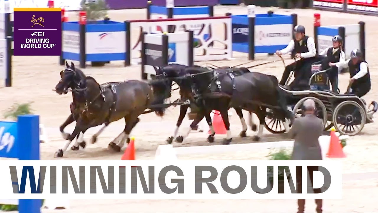 Boyd Exell is the Master of Faster! | FEI Driving World Cup™ 2023/24 Lyon