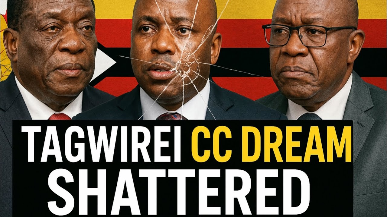 Tagwirei Central Committee bid shattered as senior Zanu PF officials told him to wait a bit longer