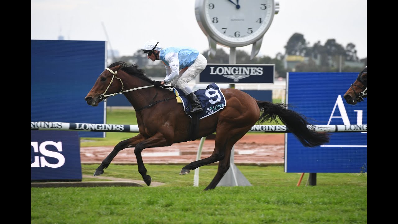 Pro Group Racing - Show Us Your Tips - The Championships Day 1 - Randwick & Caulfield Preview