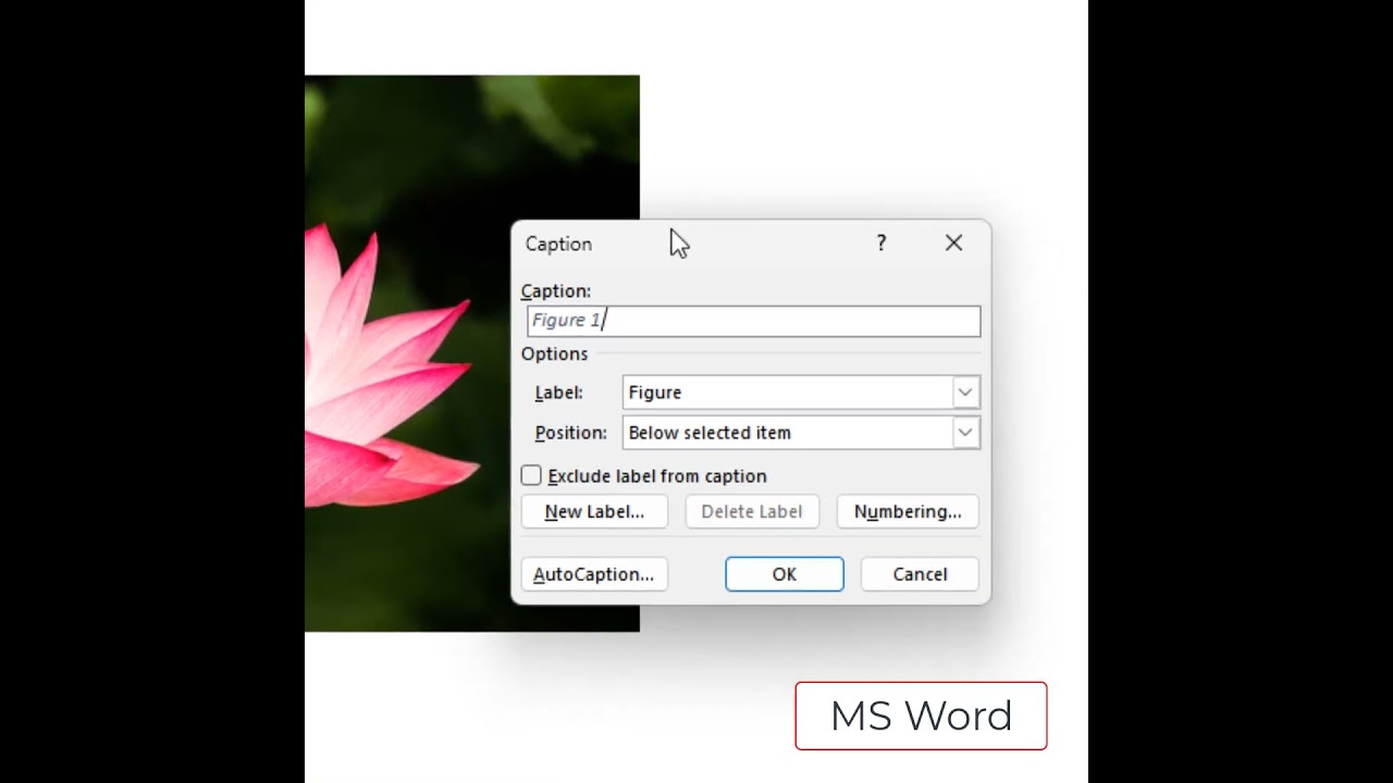 MS Word: вставка подписей к изображениям