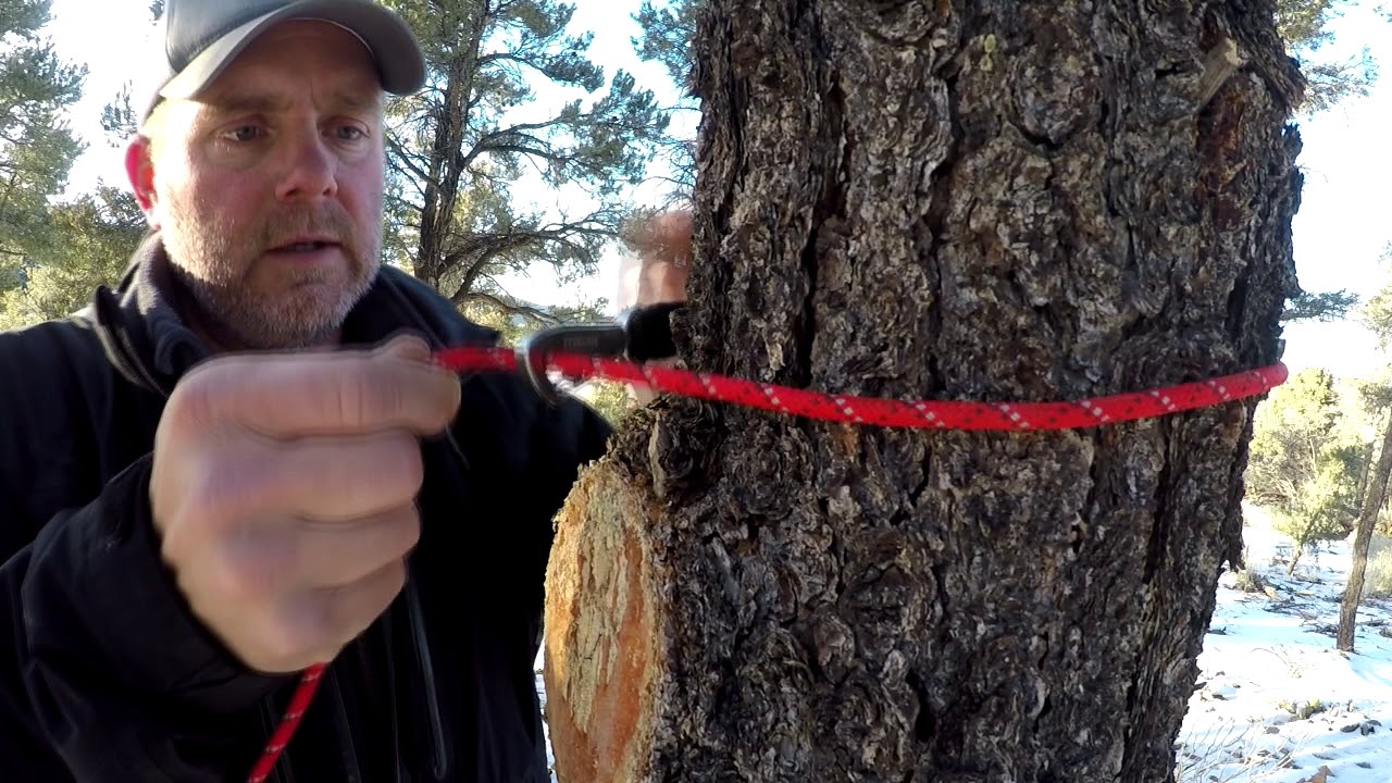 Gear Review: Knot A Hitch - Campsite Dog Tether System
