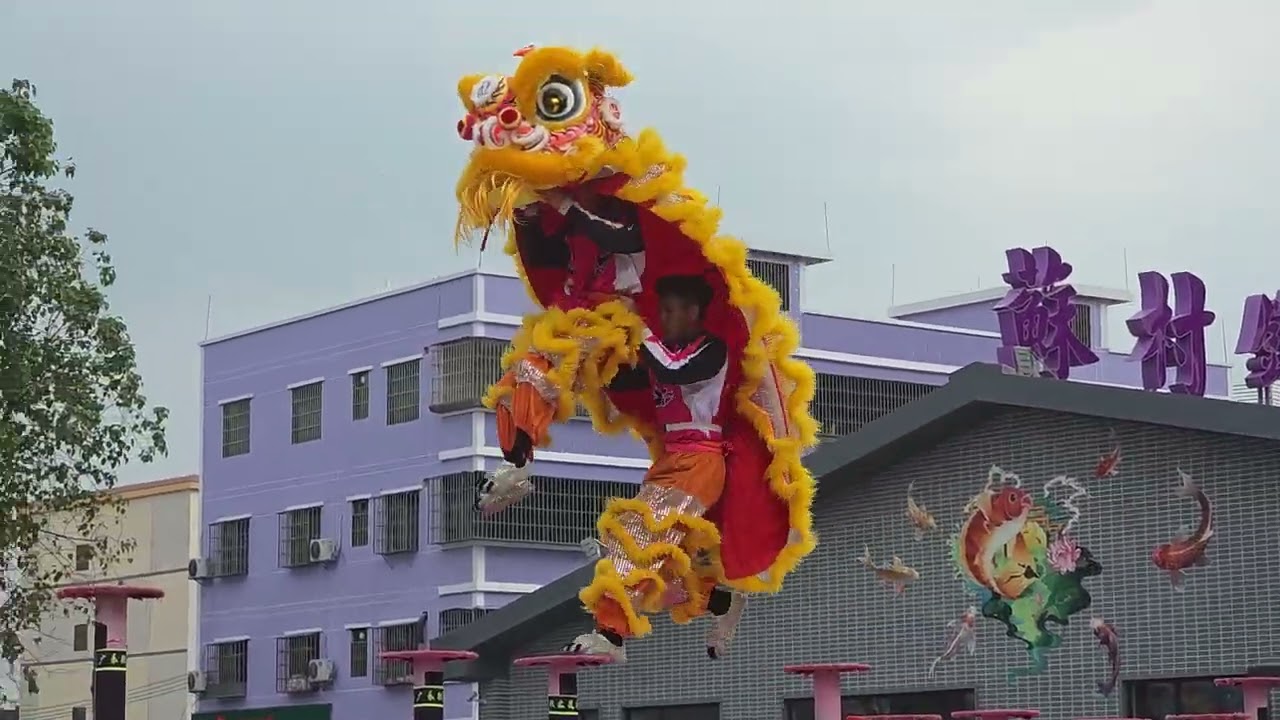 佛山苏村马年新春高桩醒狮贺岁