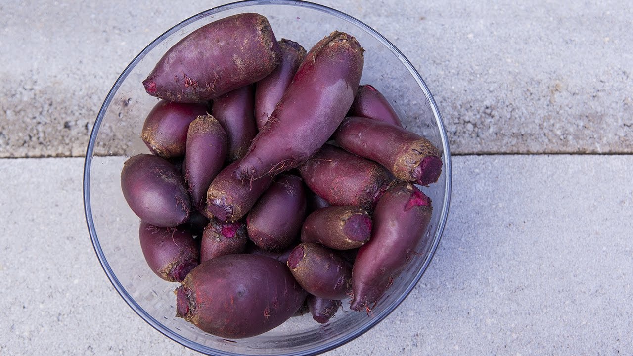 Gefermenteerde bieten