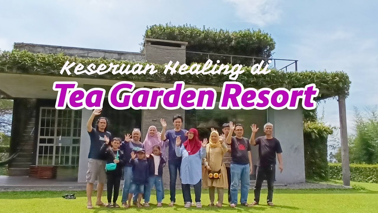 Cottage Unik di Tengah Kebun Teh‼️Ada Kolam Renang, Bikin Fresh | Tea Garden Resort Subang