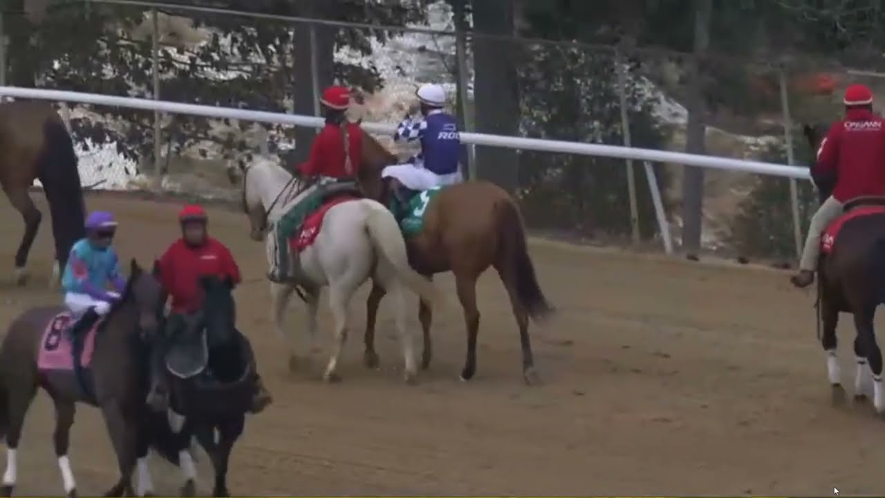 R2 Oaklawn Park   08 Feb 2026