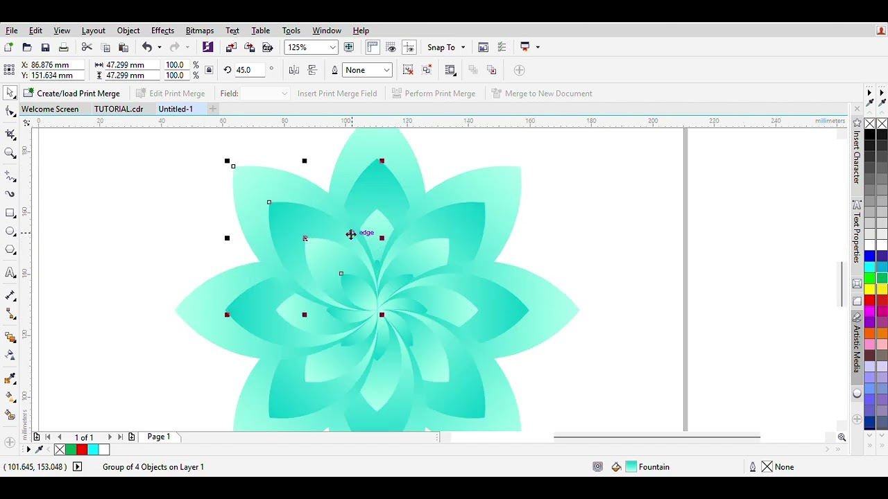 Colour full flower design 