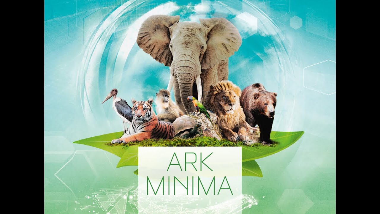 How to Play Ark Minima: Ark Nova in 18 Cards