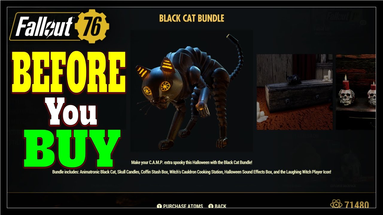 Обзор Fallout 76 Black Cat Bundle