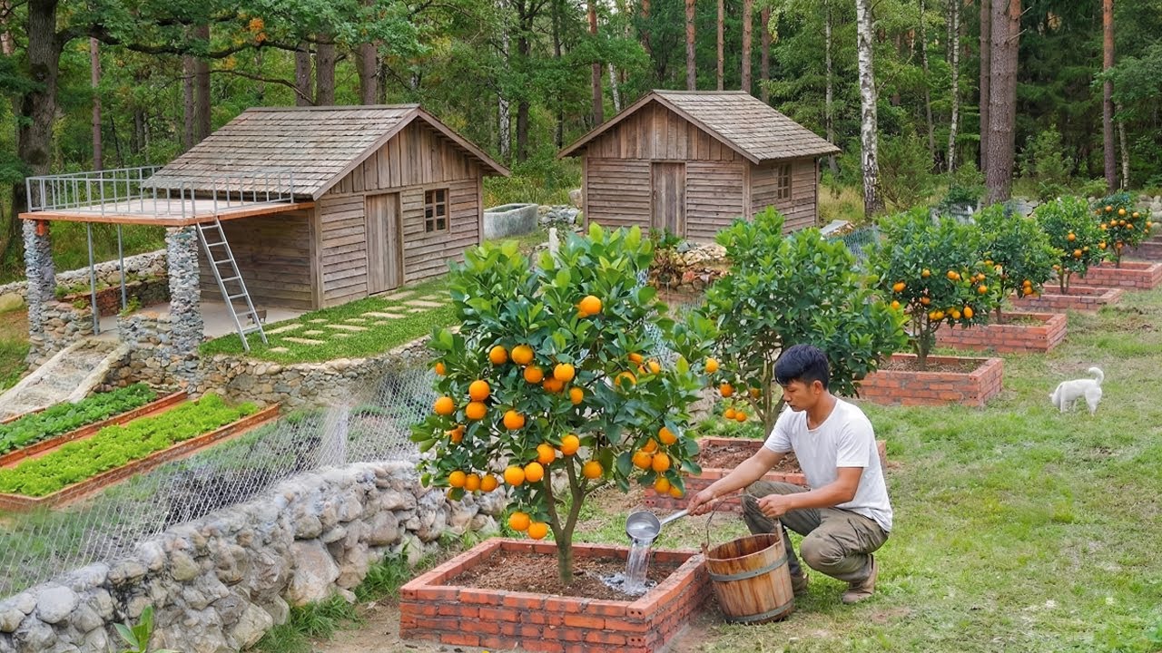 Surviving Alone in the Wild: Making Organic Fertilizer from Natural Materials